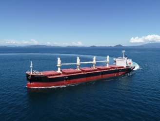 SEASTAR MERLIN