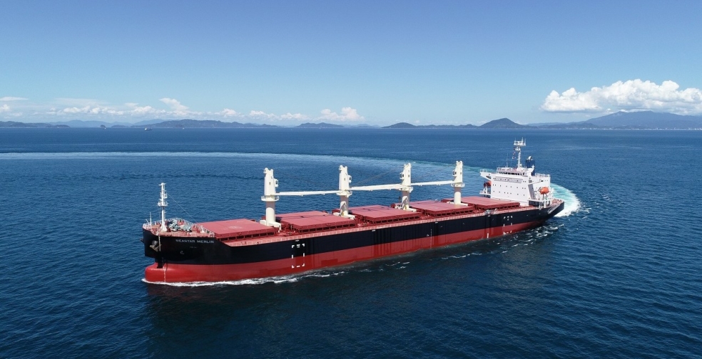 SEASTAR MERLIN